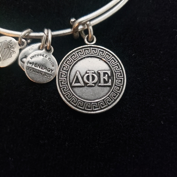 Alex and Ani Rafaelian Silver Delta Phi Epsilon 2012 - Picture 8 of 8